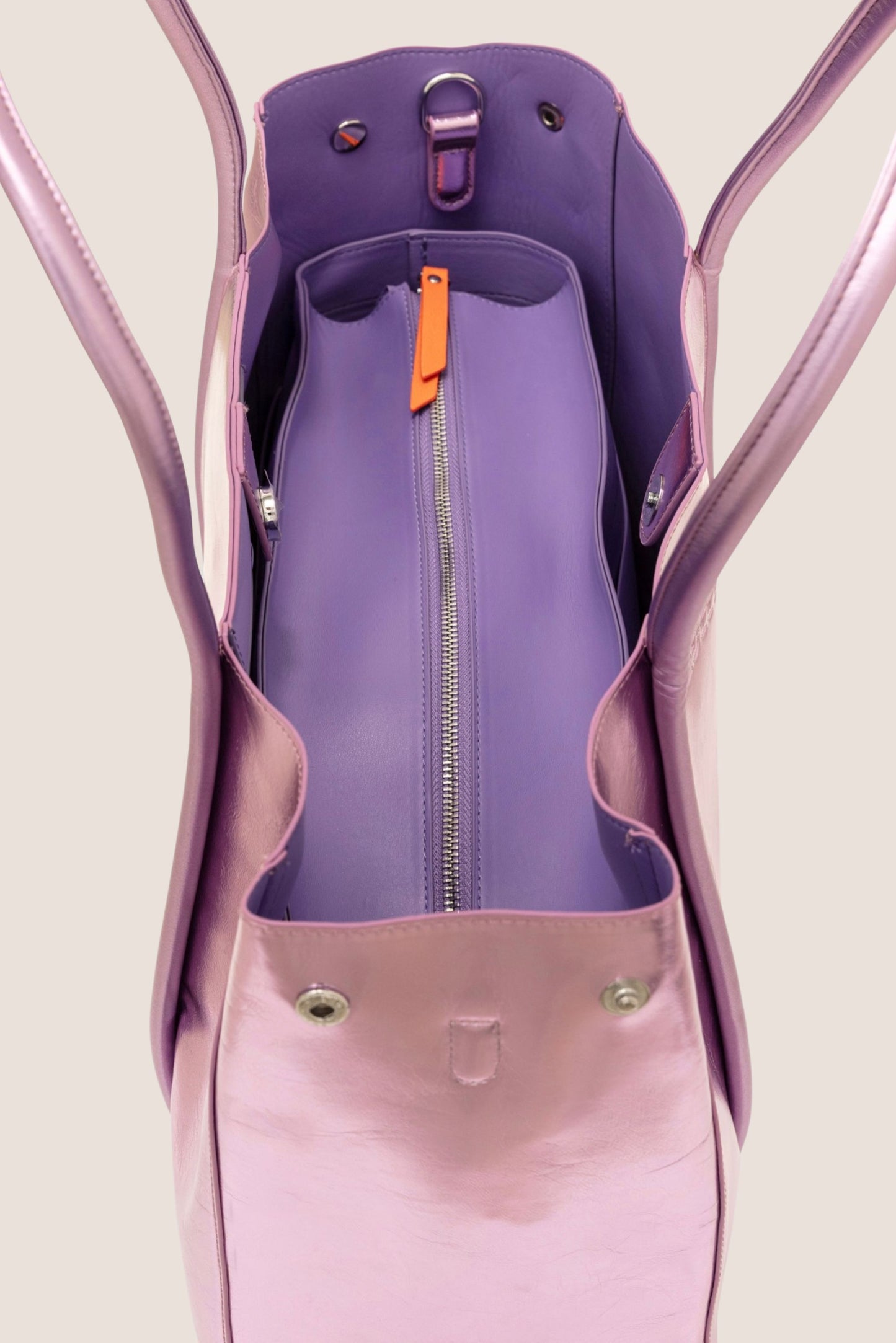 The Organizer: Purple Bag Organizer